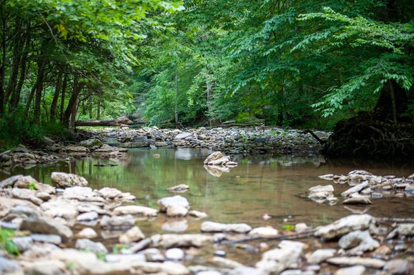 Customer photo 2 of 4. Click to open full size image.