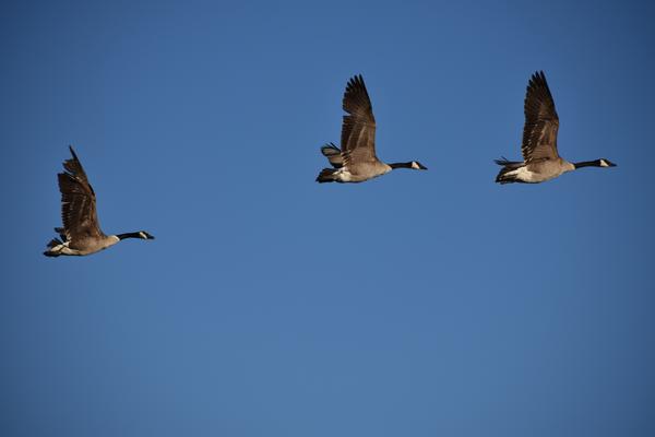 Customer photo 1 of 6. Click to open full size image.