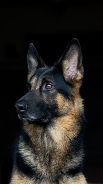 Customer photo 5 of 5. Click to open full size image.