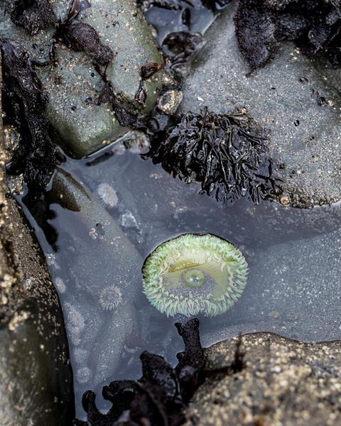 Customer photo 6 of 6. Click to open full size image.