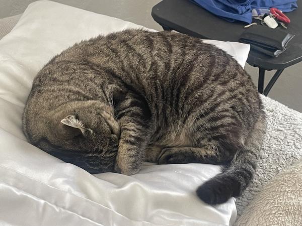 Customer photo 2 of 4. Click to open full size image.