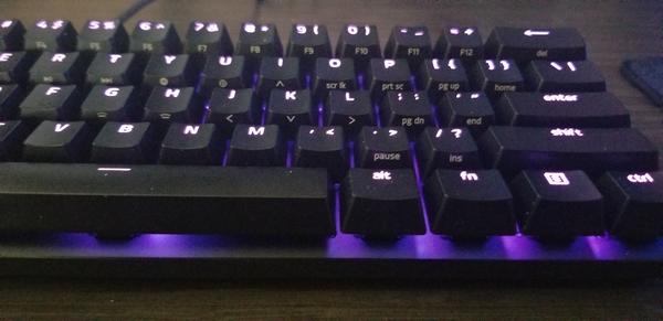 Customer photo 2 of 6. Click to open full size image.