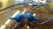 User submitted photo