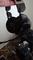 User submitted photo