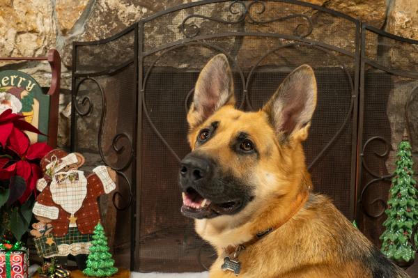 Customer photo 3 of 3. Click to open full size image.