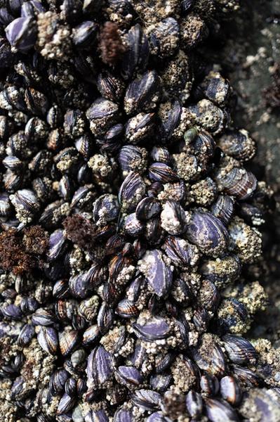 Customer photo 1 of 6. Click to open full size image.