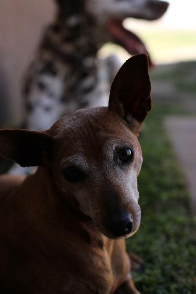 Customer photo 5 of 5. Click to open full size image.