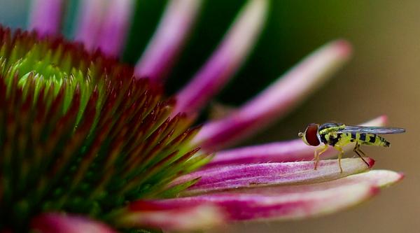 Customer photo 3 of 6. Click to open full size image.