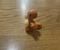 User submitted photo