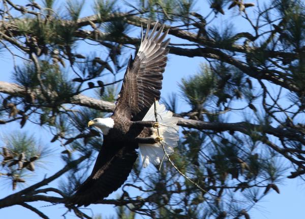 Customer photo 2 of 2. Click to open full size image.