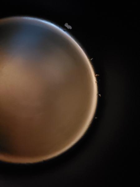 Customer photo 1 of 1. Click to open full size image.