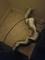User submitted photo