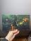 User submitted photo