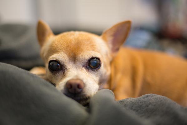 Customer photo 3 of 6. Click to open full size image.