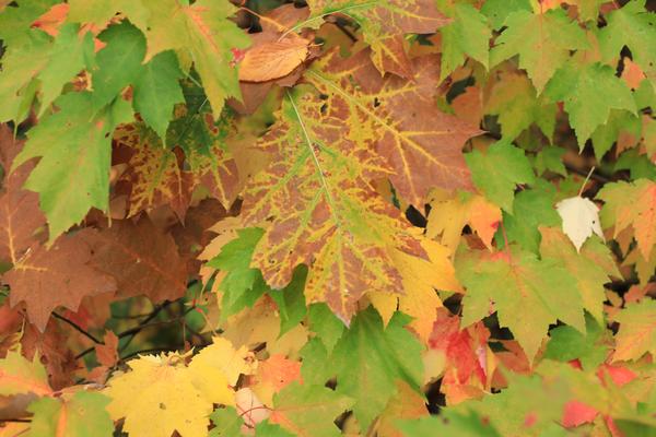 Customer photo 4 of 6. Click to open full size image.