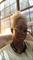 User submitted photo