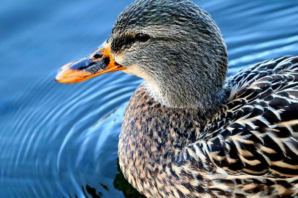 Customer photo 4 of 6. Click to open full size image.