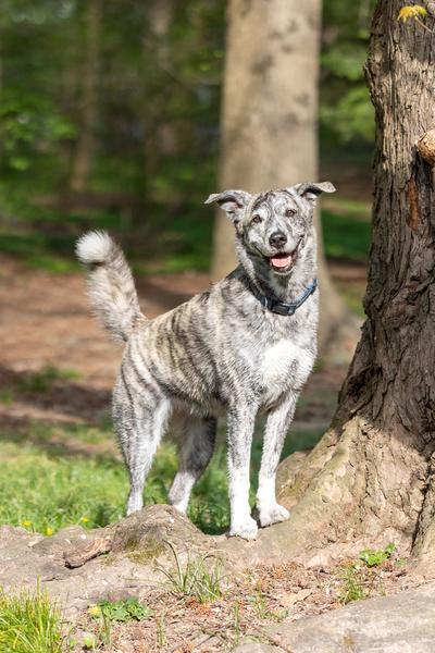 Customer photo 1 of 2. Click to open full size image.