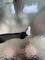 User submitted photo