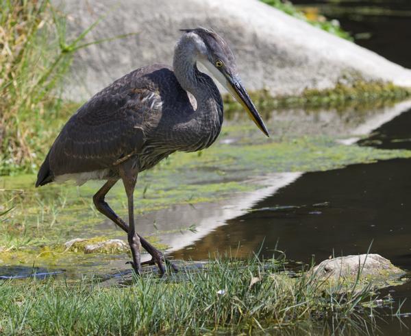 Customer photo 1 of 3. Click to open full size image.