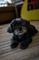 User submitted photo