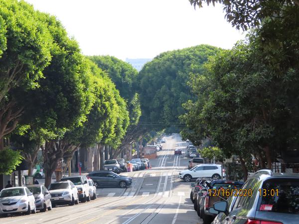 Customer photo 3 of 4. Click to open full size image.