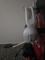 User submitted photo