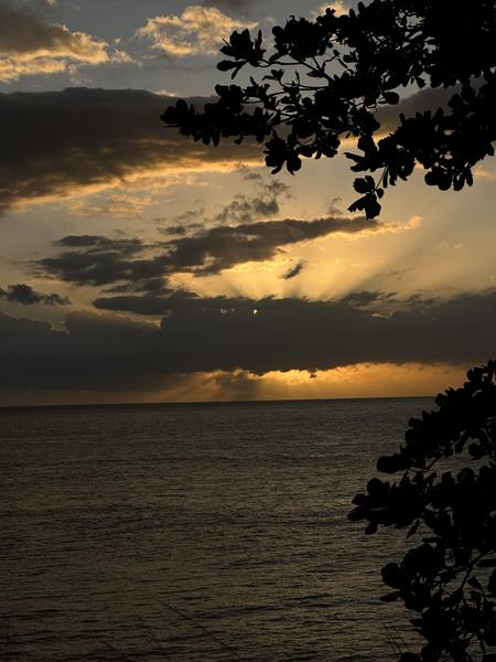 Customer photo 3 of 5. Click to open full size image.