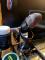 User submitted photo