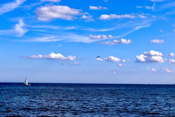 Customer photo 5 of 5. Click to open full size image.