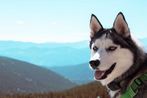 Customer photo 1 of 6. Click to open full size image.