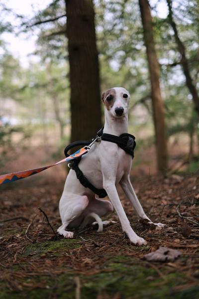 Customer photo 2 of 5. Click to open full size image.