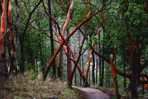 Customer photo 2 of 6. Click to open full size image.