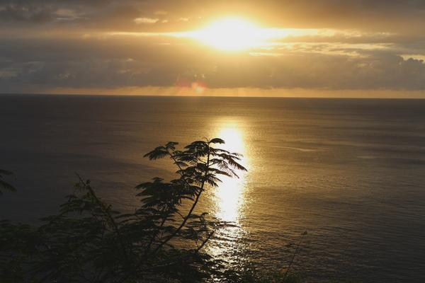 Customer photo 1 of 1. Click to open full size image.