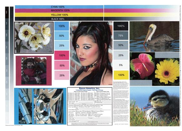 Customer photo 6 of 6. Click to open full size image.