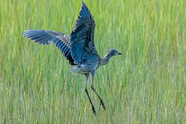 Customer photo 1 of 2. Click to open full size image.