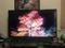 User submitted photo