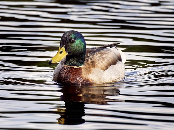 Customer photo 3 of 5. Click to open full size image.