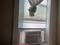 User submitted photo