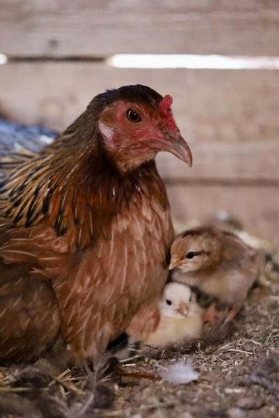 Customer photo 2 of 6. Click to open full size image.