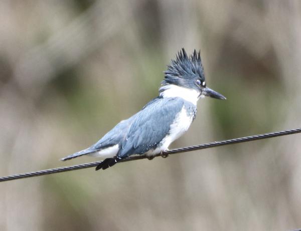 Customer photo 4 of 6. Click to open full size image.