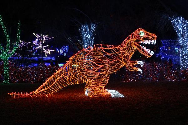 Customer photo 4 of 6. Click to open full size image.