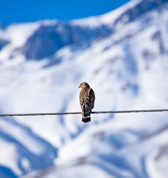 Customer photo 4 of 5. Click to open full size image.