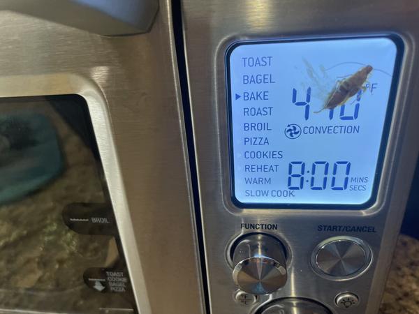 Customer photo 1 of 1. Click to open full size image.