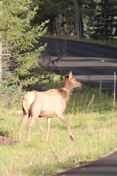 Customer photo 5 of 6. Click to open full size image.