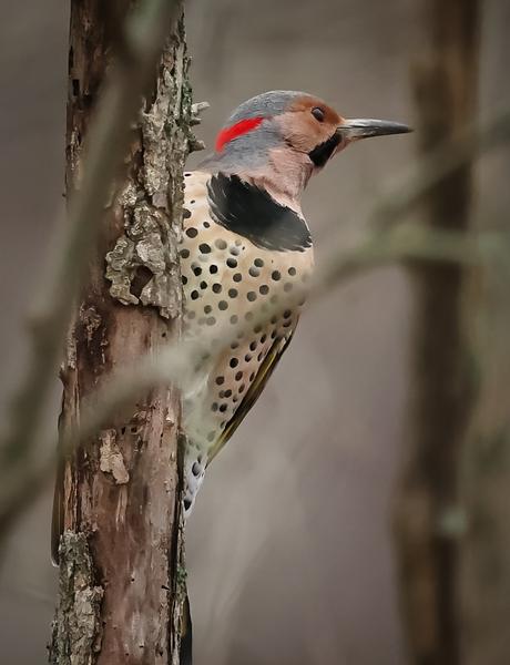 Customer photo 3 of 3. Click to open full size image.