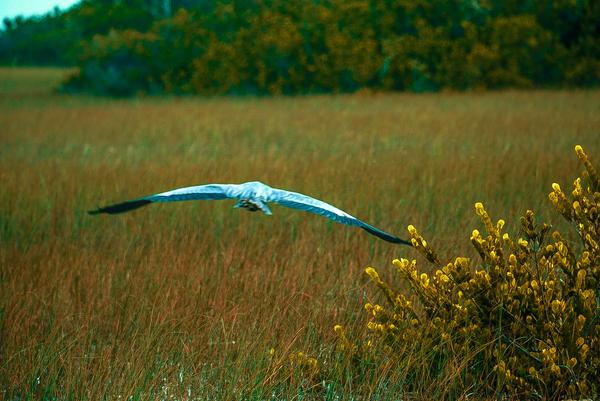 Customer photo 3 of 5. Click to open full size image.