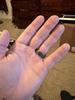 User submitted photo