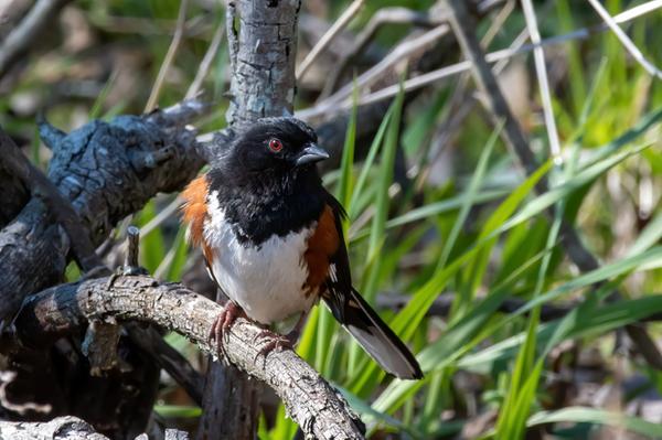 Customer photo 4 of 4. Click to open full size image.