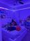 User submitted photo